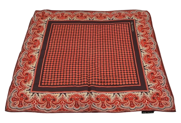 Christian Dior Printed Scarf