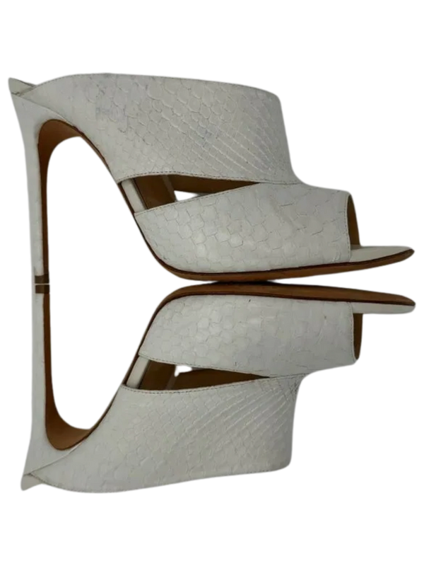 Alexandre Birman Python Slides