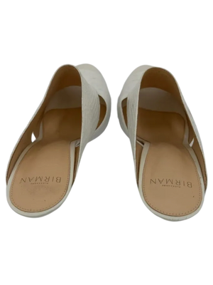 Alexandre Birman Python Slides