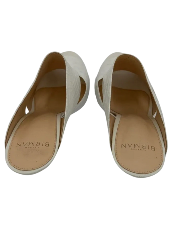 Alexandre Birman Python Slides