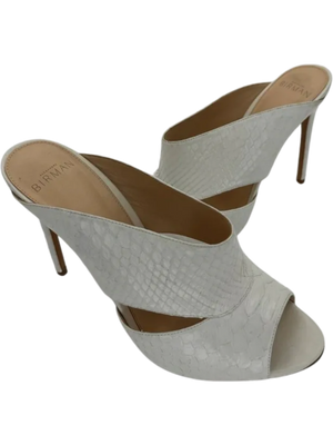 Alexandre Birman Python Slides