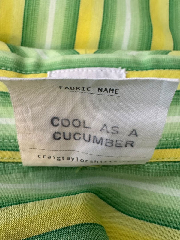 Craig Taylor “Cool As A Cucumber” Green & Yellow Striped Shirt – Size XL
