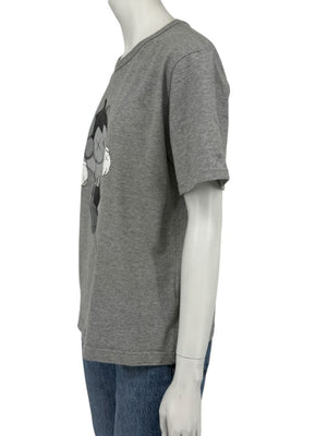 OriginalFake KAWS Grey Companion Graphic T-Shirt – Size 2