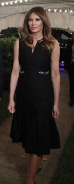 Erdem 2017 Melita Dress NWT - Size 6