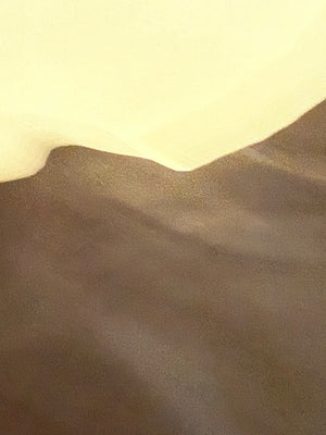 Alexander McQueen Men’s Skull Graphic T-Shirt – Size S